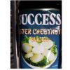 Success-Water-Chestnut-Sliced-2-84L
