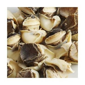 Frozen-Conch-Meat-Peeled-2LB