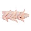 Seara-Sadia-Chicken-Split-Wing-8-10Halal-40lb