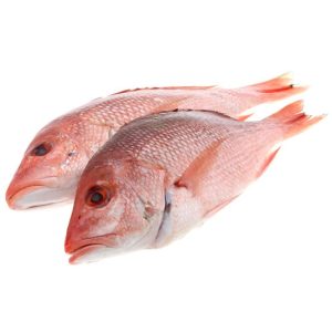 red-snapper-fish
