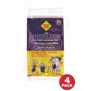 deand-end-Mouse-Glue-Traps-4pcs