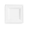 chartland-10inch-Square-Compostable-Plate-50pcs