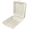 green-dish-Biodegradable-Hinged-Container-8x8x3-3