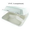 Chartland-9x9-3Comp-Bagasse-Container-50pcs-02
