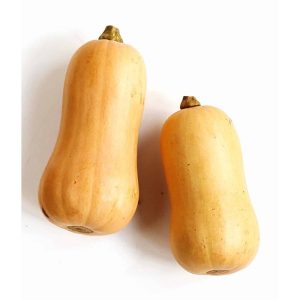butternut-2