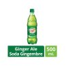 coca-cola-ginger-ale-24x500ml