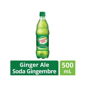 coca-cola-ginger-ale-24x500ml