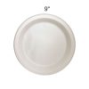 Table-accents-9inch-Plastic-Plates-125pc