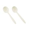 table-accents-Biodegradable-spoon-1000pcs-JPG