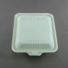 PIC-5184-Green-Dish-Biodegradable-Hinged-Container-8x8x2-01