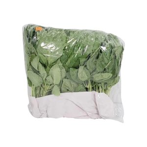 basil-16