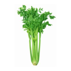 celery-with-leaves