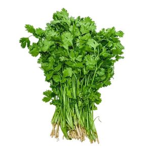 coriander-2