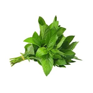fresh-mint-2
