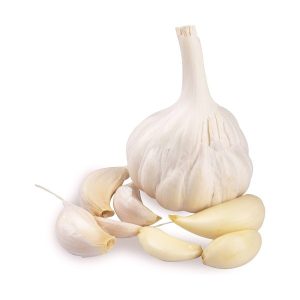 garlic-15