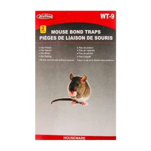 myland-mouse-glue-traps