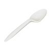 riteware-tea-spoon-Individually-Wrapped-1000pcs
