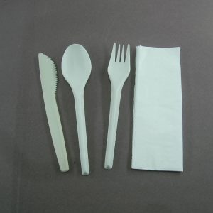 PIC-6593-Green-Dish-Biodegradable-Cutlery-Meal-Kit-4pc