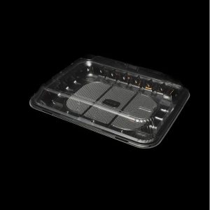 HQ-clear-Clear-Plastic-Tray-HQ8p