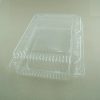 PIC-7056-HQ-Clear-Hinged-ContainerZD093