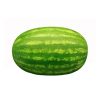 watermelon-big