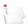 Ariza-Sleep-Poly-Plush-Pillow-2-pack