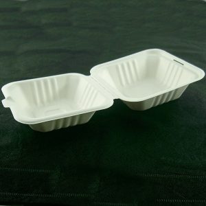 PIC-8544-TencloudsSTi-6x6-Bagasse-Container-125pcs