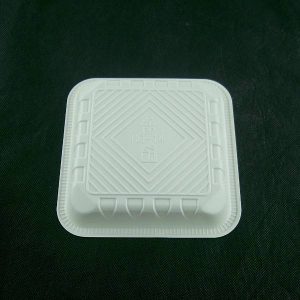PIC-9126-New-Gen-Plastic-Tray-6x6x0-9814