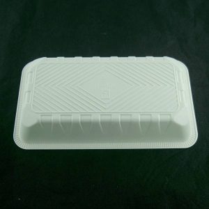 PIC-9133-New-Gen-Plastic-Tray-11-2x6-3x1-910K