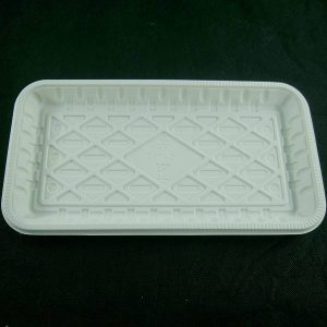 PIC-9134-New-Gen-Plastic-Tray-10-6x5-7x0-7510S